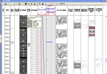 岩心图文综合柱状图